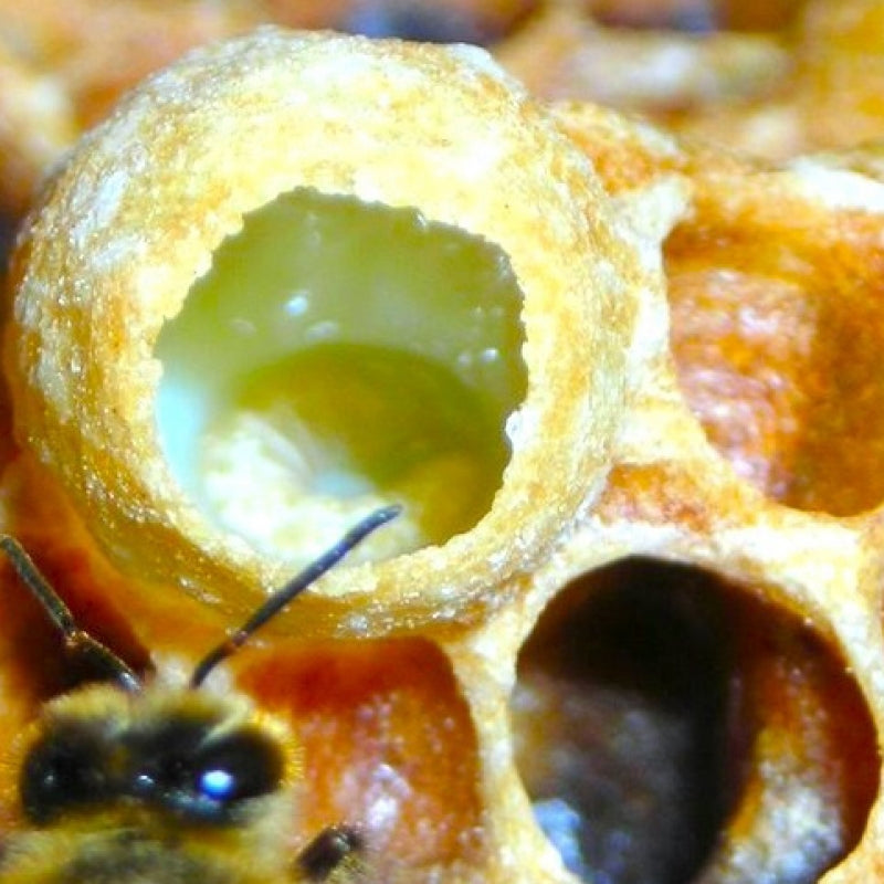 Royal jelly